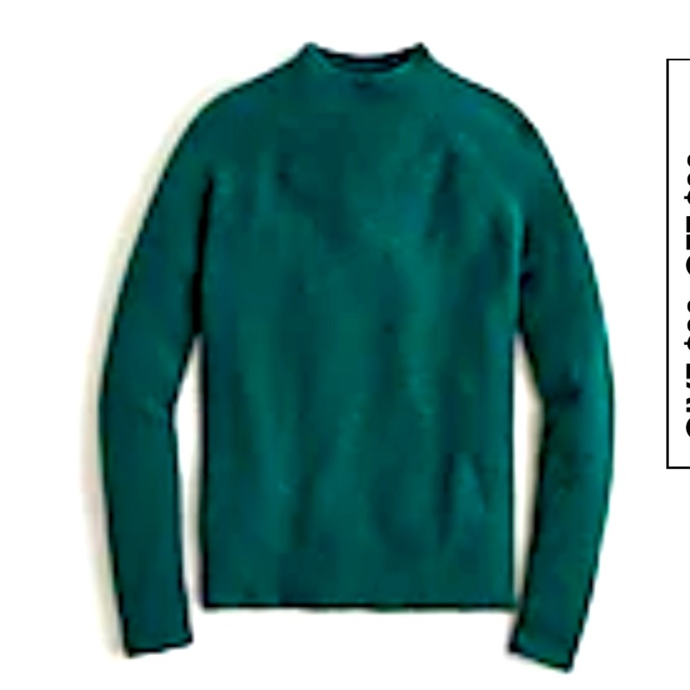 COPY - JCrew Turtleneck sweater